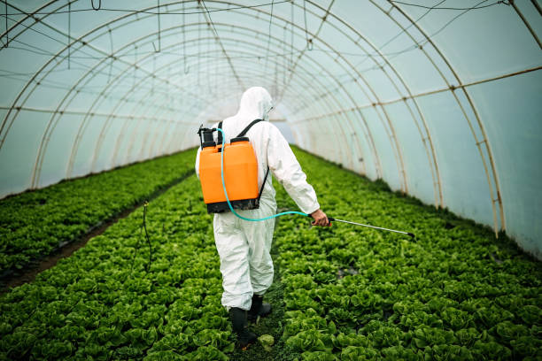 Pest Control Cost in Hillsboro Beach, FL