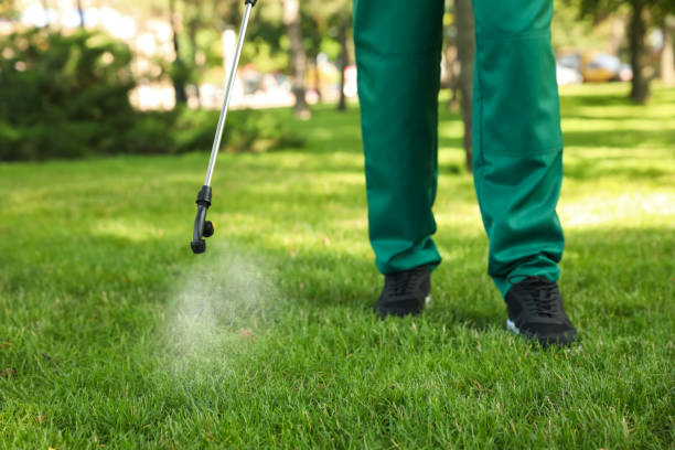 Trusted Hillsboro Beach, FL Pest Control Experts