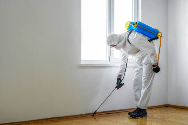 Best Local Pest Control Services  in Hillsboro Beach, FL