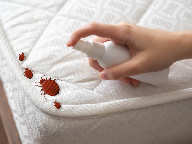 Best Commercial Pest Control Services  in Hillsboro Beach, FL